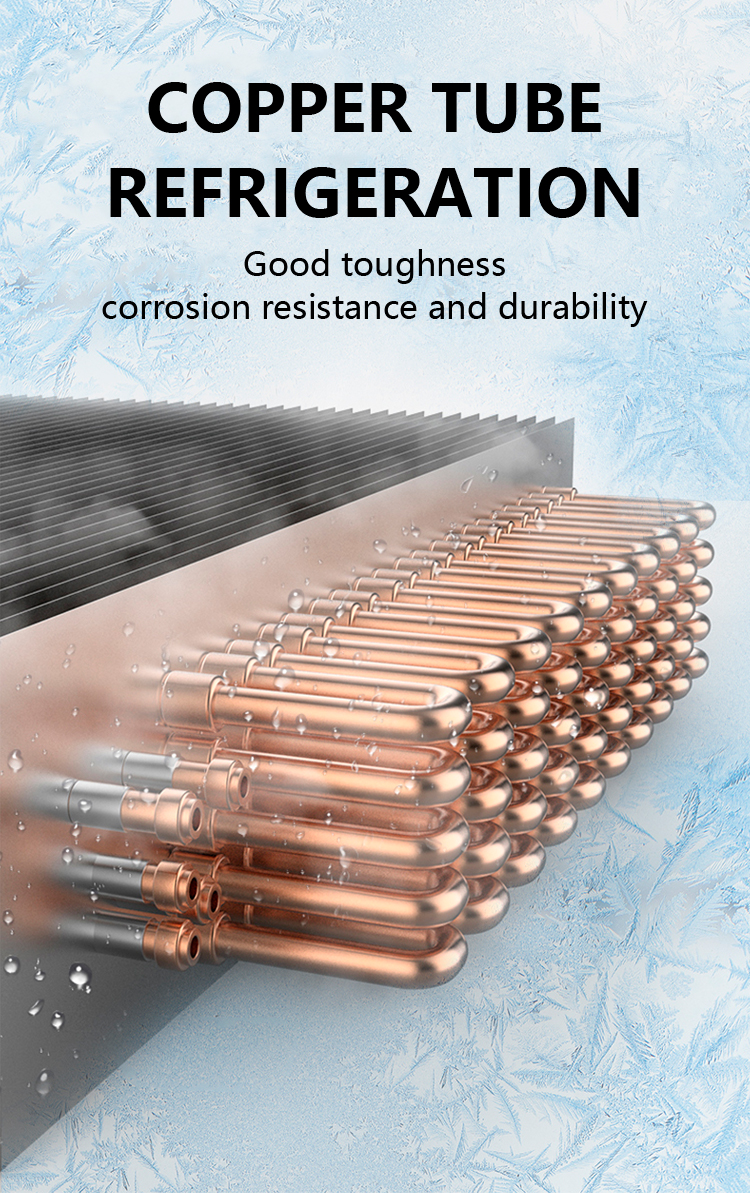 डिटेल -05 -05